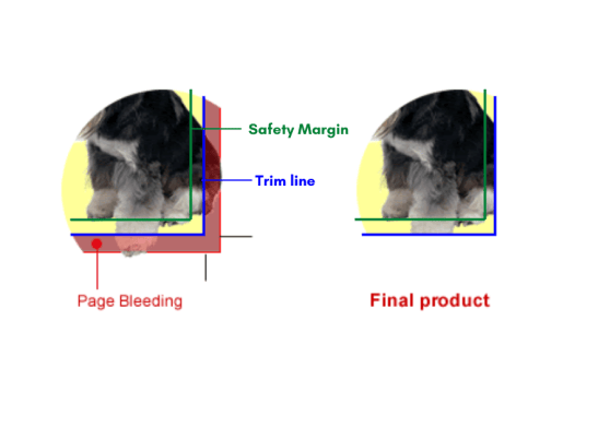 Diagram of bleed line, trim line and safety margin on a print
