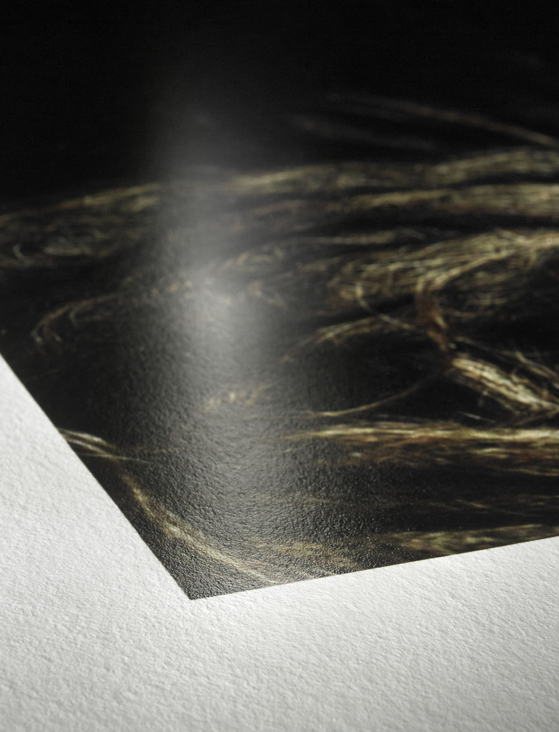 Hahnemühle Photo Rag Baryta 315 surface close-up, image from Hahnemühle