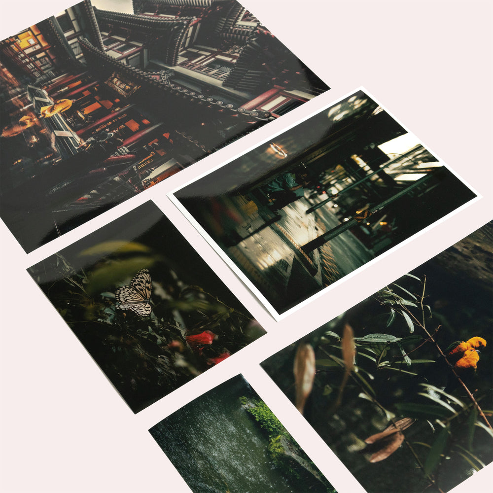 Professional Prints in the Size You Need