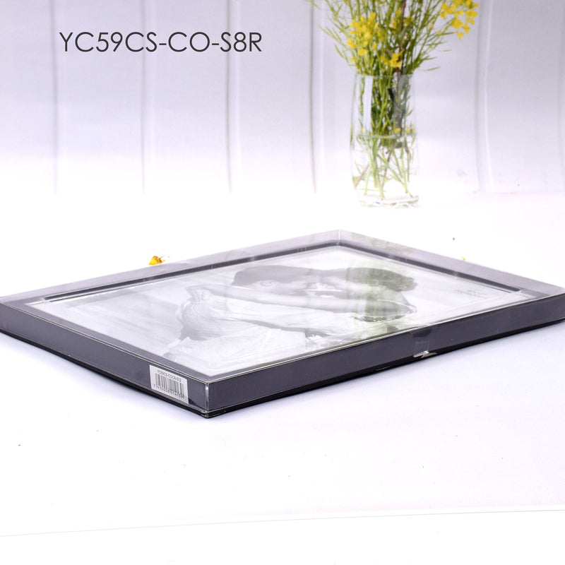 S8R Silver Aluminum Framed Print