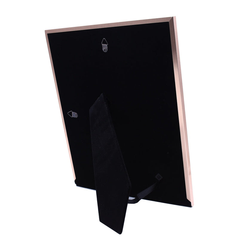 Bronze Aluminum Framed Print