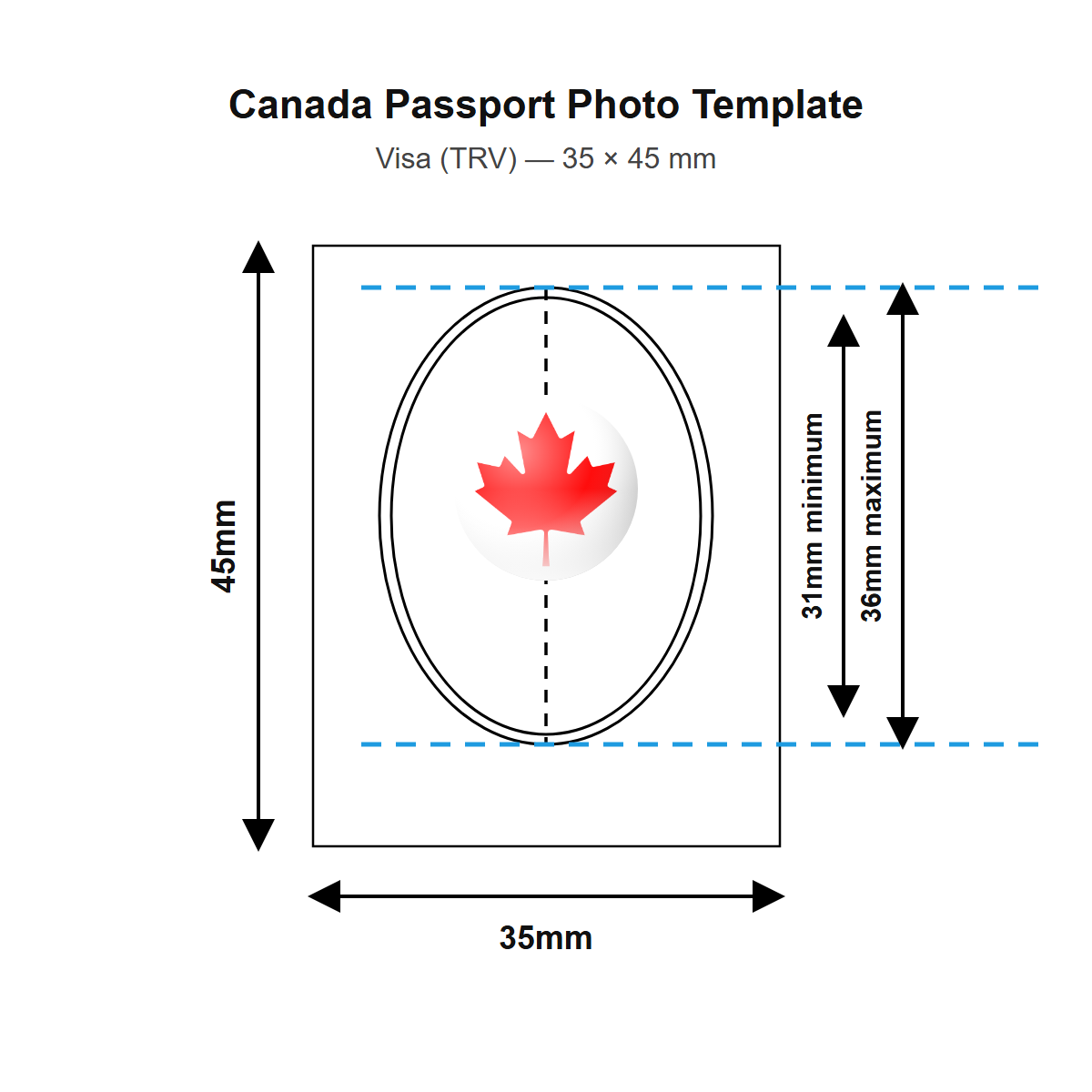 Canada passport photo template — 35 × 45 mm (Visa (TRV))