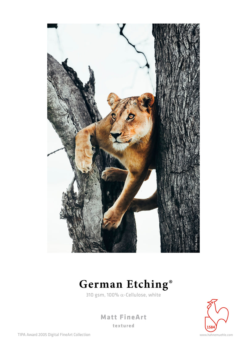 Hahnemühle German Etching 310, product image from Hahnemühle