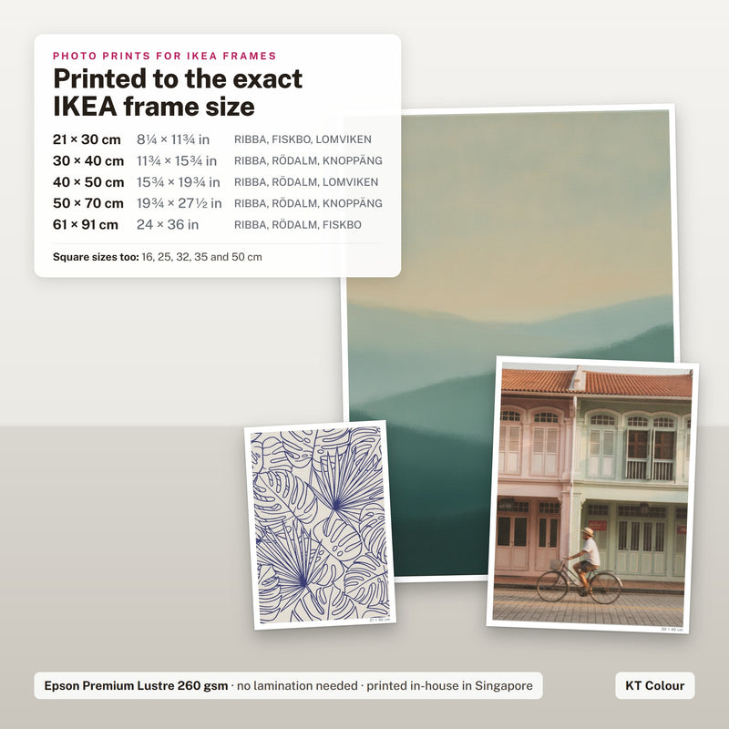 IKEA-size photo prints: 21x30, 30x40, 40x50, 50x70 and 61x91 cm posters printed to the exact IKEA frame size on Epson Premium Lustre paper