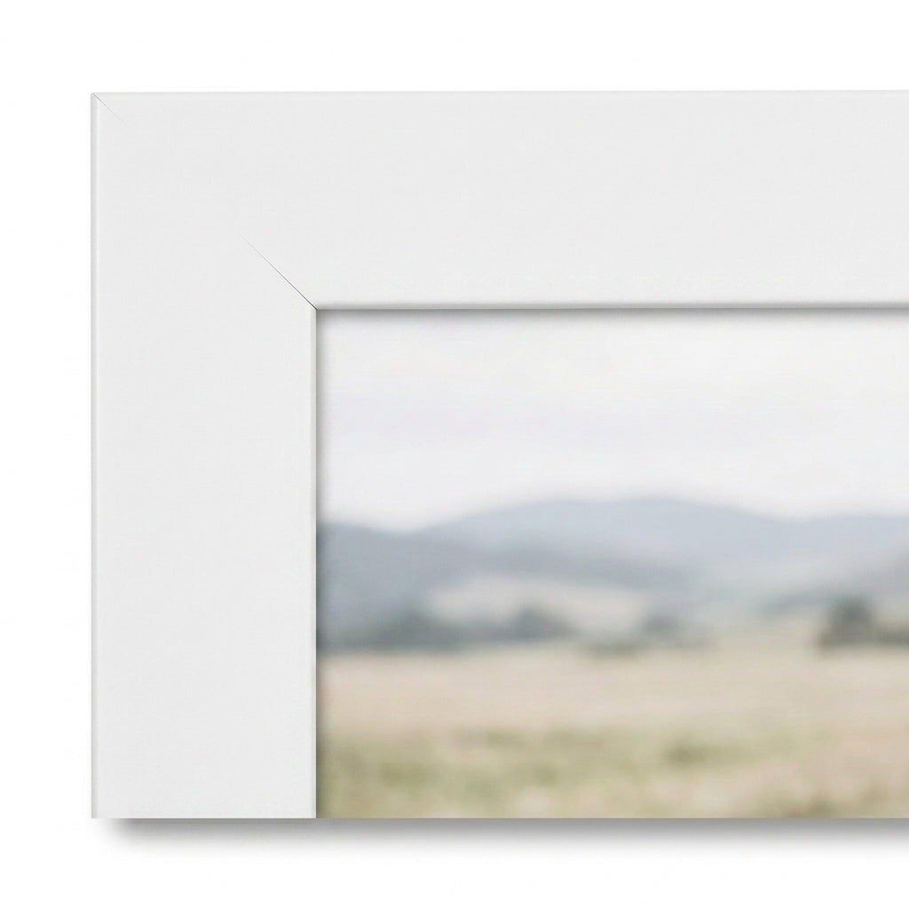 White (28U3-MWM) frame