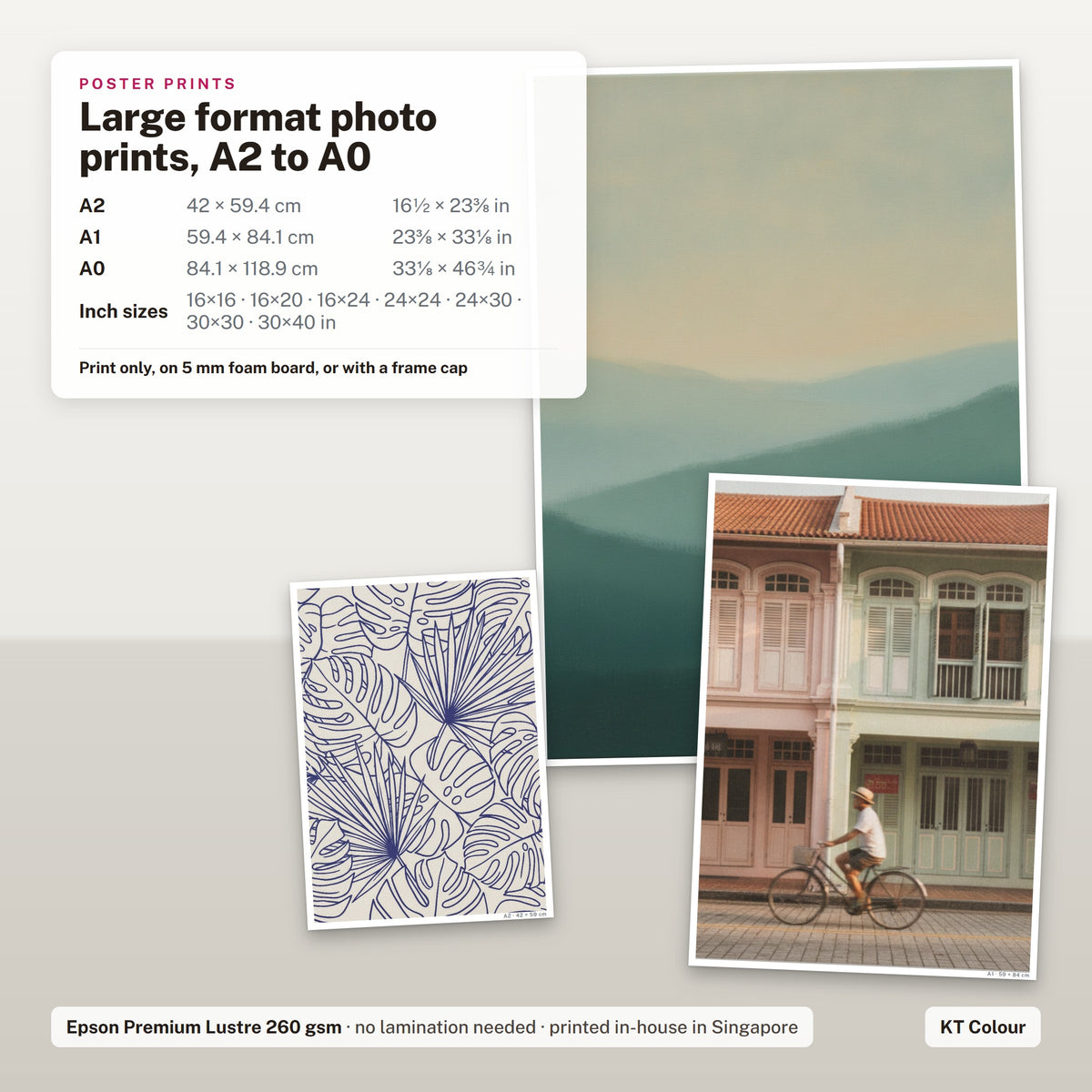 Poster prints A2 to A0 on Epson Premium Lustre 260gsm paper, with A2, A1 and A0 sizes shown to scale