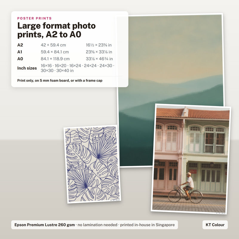 Poster prints A2 to A0 on Epson Premium Lustre 260gsm paper, with A2, A1 and A0 sizes shown to scale
