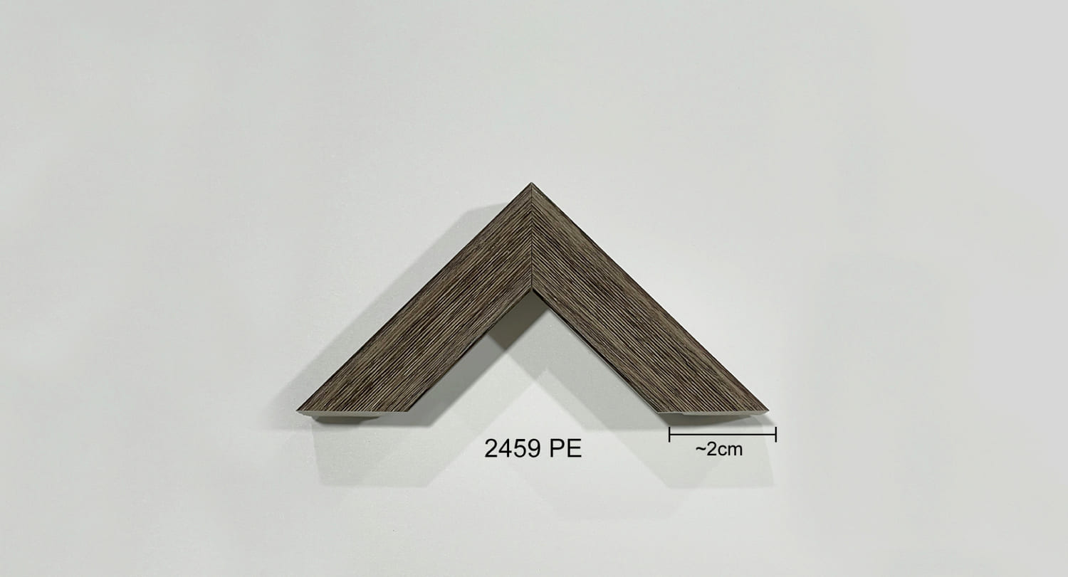 2459 PE