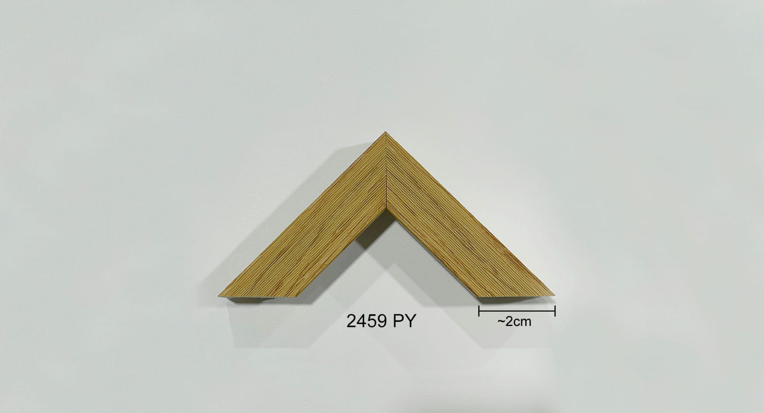 2459 PY