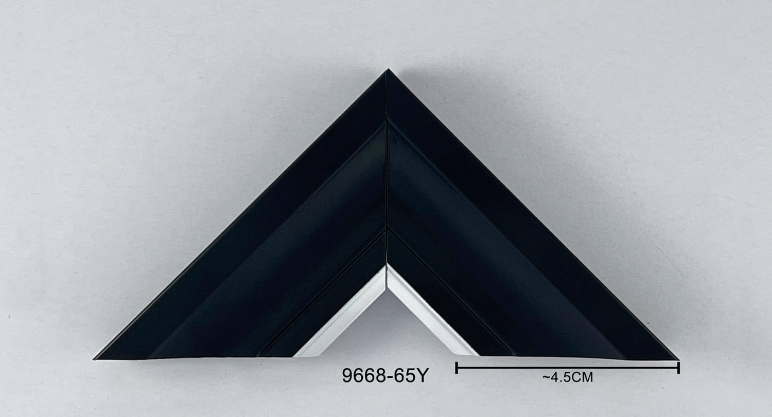 9668-65Y